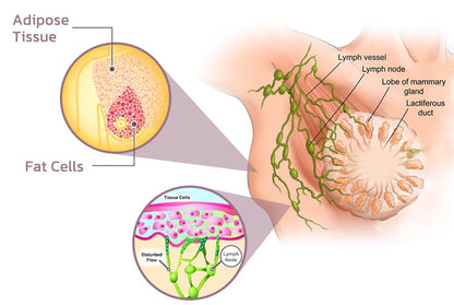 Design for Senior Front Closure Cotton Bra